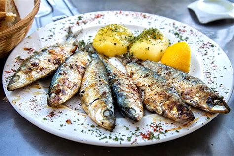 sardince|Sardine .